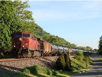 CP 8577